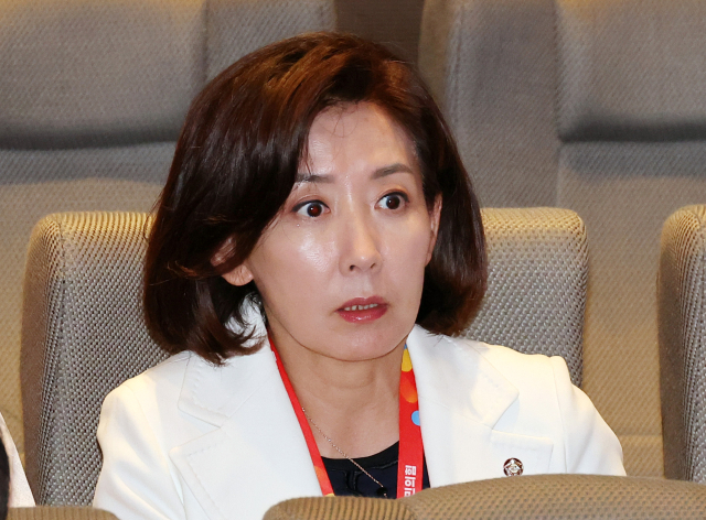 나경원, “내가 당 대표였다면 윤석열 계엄 없었을 것” 주장 나경원, “내가 당 대표였다면 윤석열 계엄 없었을 것” 주장