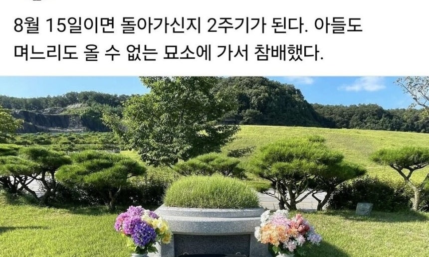 윤석열 전 대통령 부친 묘소 참배한 이철우 교수, “아들도 며느리도 올 수 없는 곳” 윤석열 전 대통령 부친 묘소 참배한 이철우 교수, “아들도 며느리도 올 수 없는 곳”