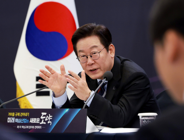 이재명 대통령, 기업 배임죄 완화 및 규제 혁신 필요성 강조 이재명 대통령, 기업 배임죄 완화 및 규제 혁신 필요성 강조