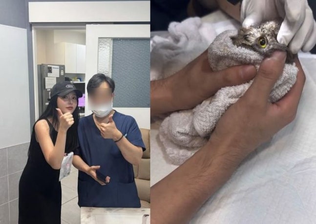 가수 홍진영, 천연기념물 부엉이 구조하며 감동 사연 전해 가수 홍진영, 천연기념물 부엉이 구조하며 감동 사연 전해
