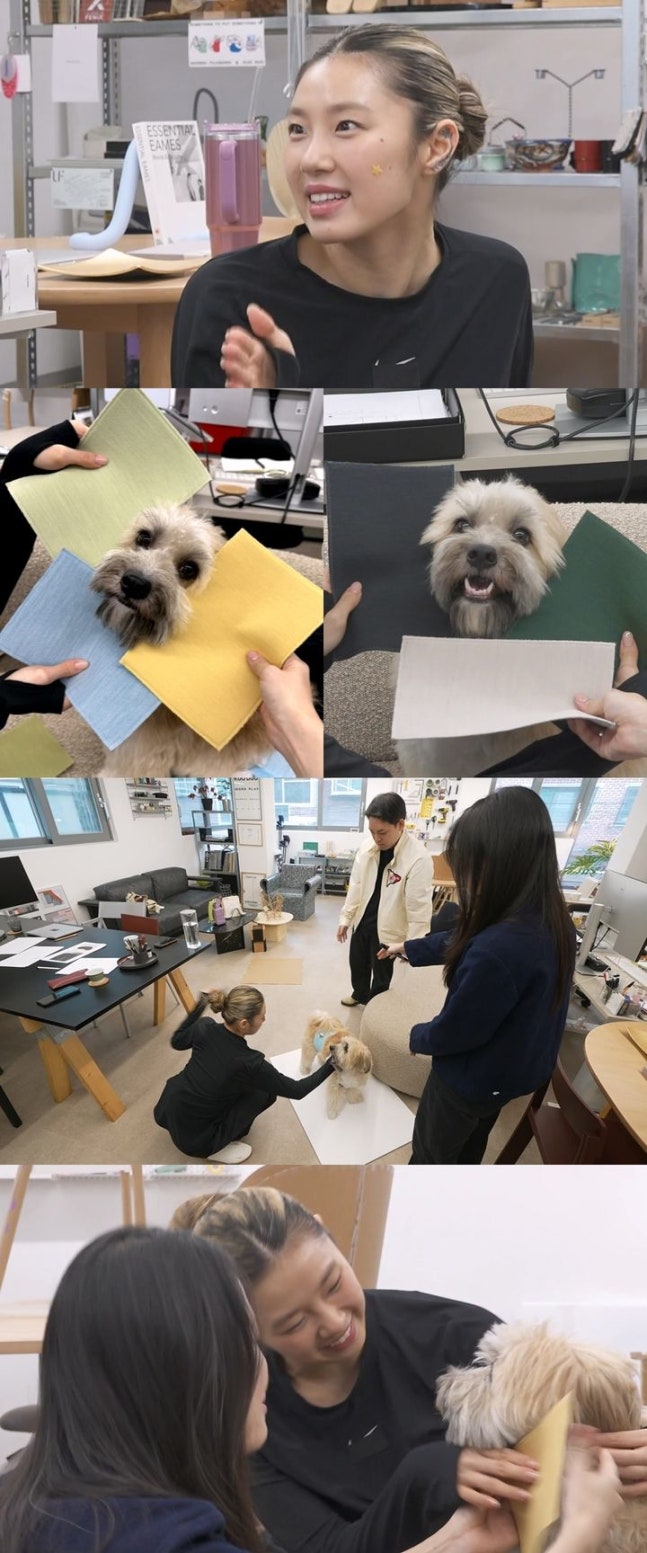 댄서 리정, 반려견 두두를 위한 맞춤형 베드 제작 도전 댄서 리정, 반려견 두두를 위한 맞춤형 베드 제작 도전